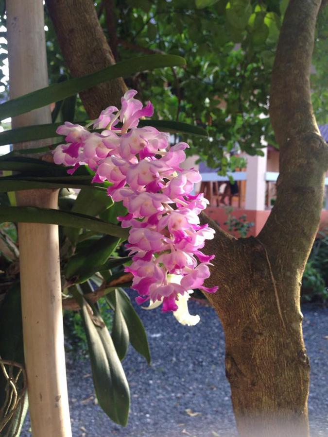 Chuanchom Resort Phatthalung Zewnętrze zdjęcie